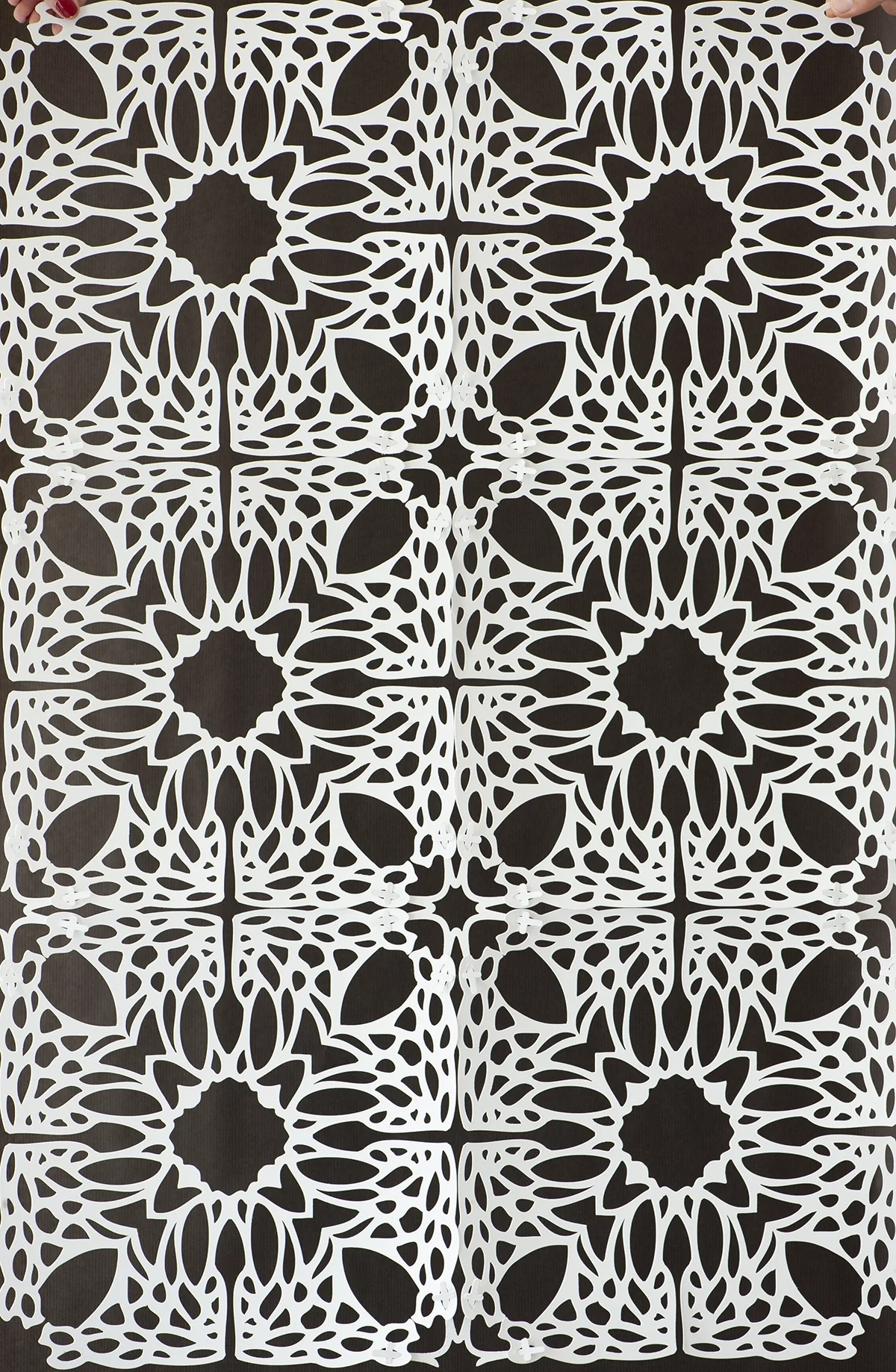 Dentelle découpée à motif floral sur fond noir
