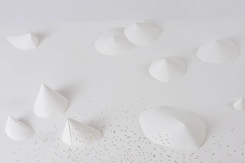 DMA 2016 - TextilePaysages de papier : des tentures de papier ennobli qui changent avec la lumière.