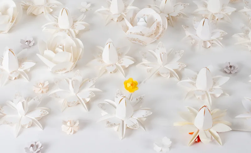 DMA 2016 - CéramiqueÉmanations de fleurs : saisir la germination et l’éclosion des fleurs.