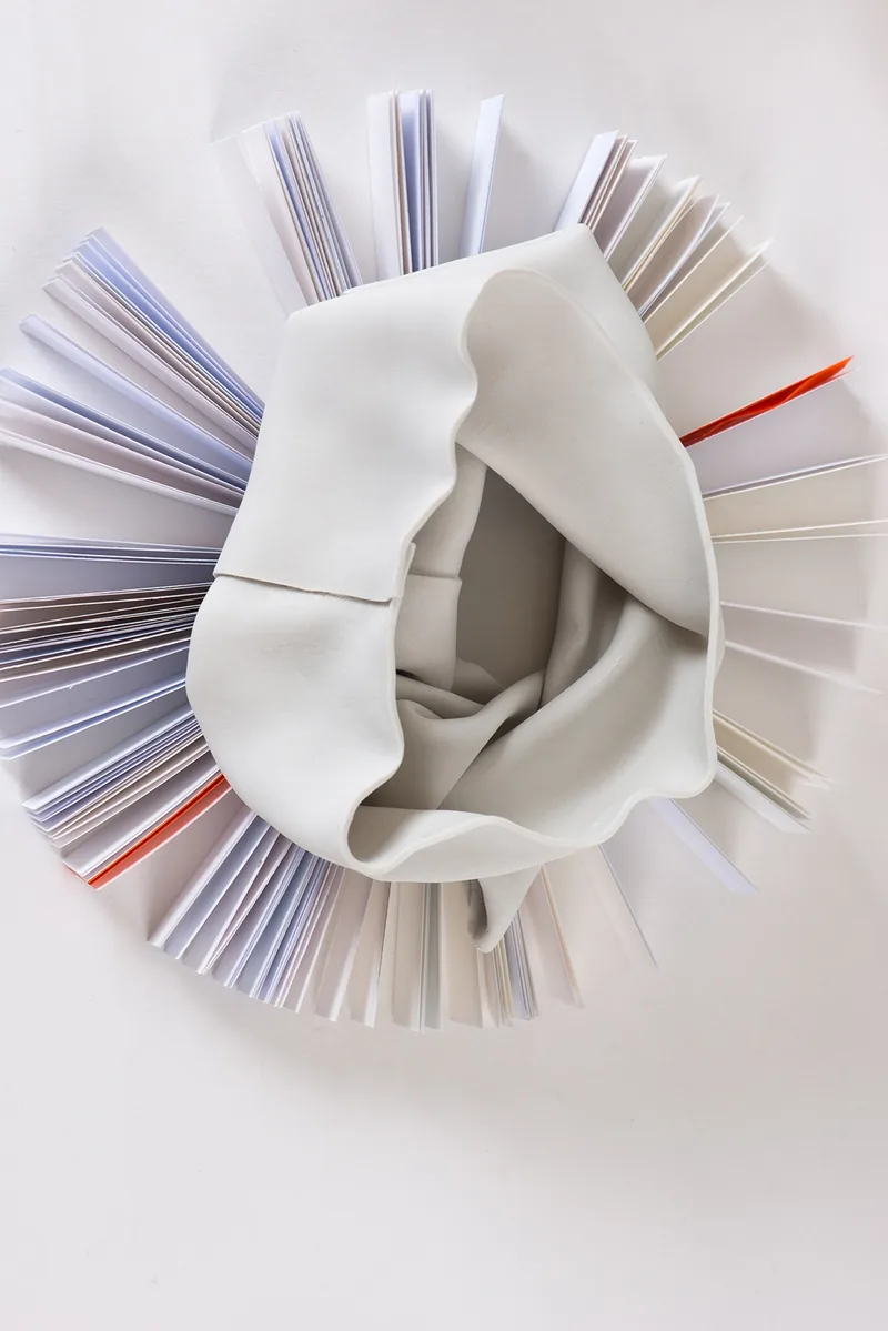 DMA 2016 - CéramiqueÉtude de la feuille de papier : la porcelaine prend la texture et les plis du papier.