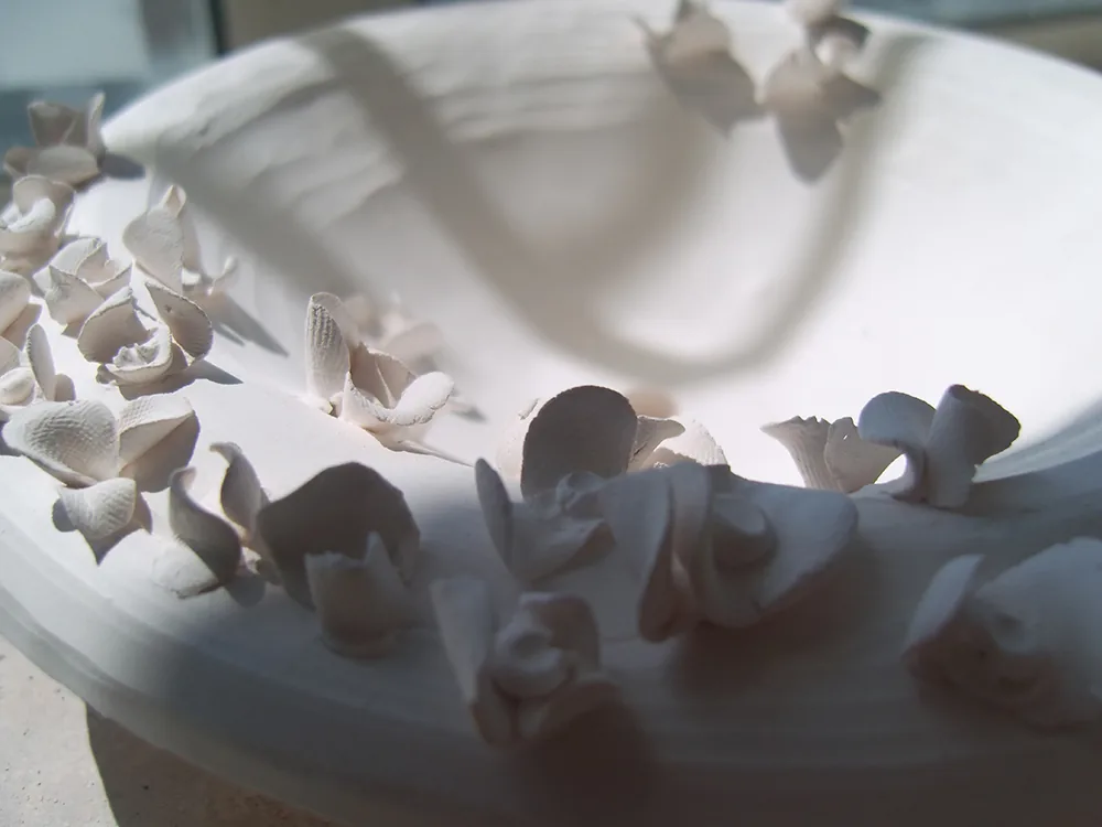 Détail : bol en porcelaine aux bords hérissés de petites formes