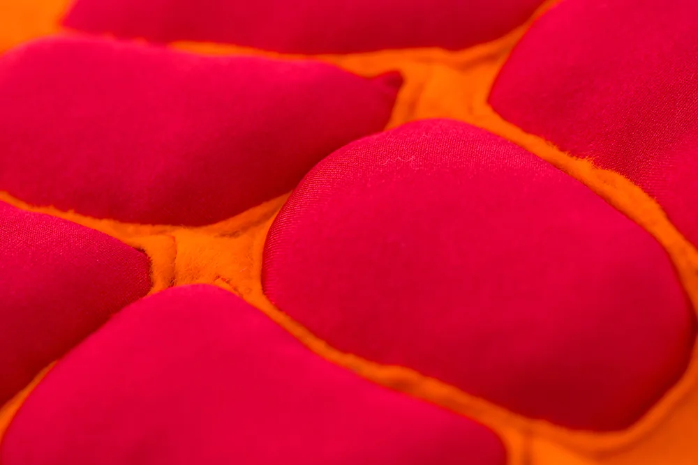 Détail : muscles rembourrés rouges sur fond orange