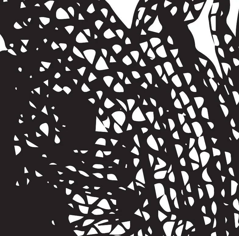 Motif de dentelle ajourée en noir et blanc