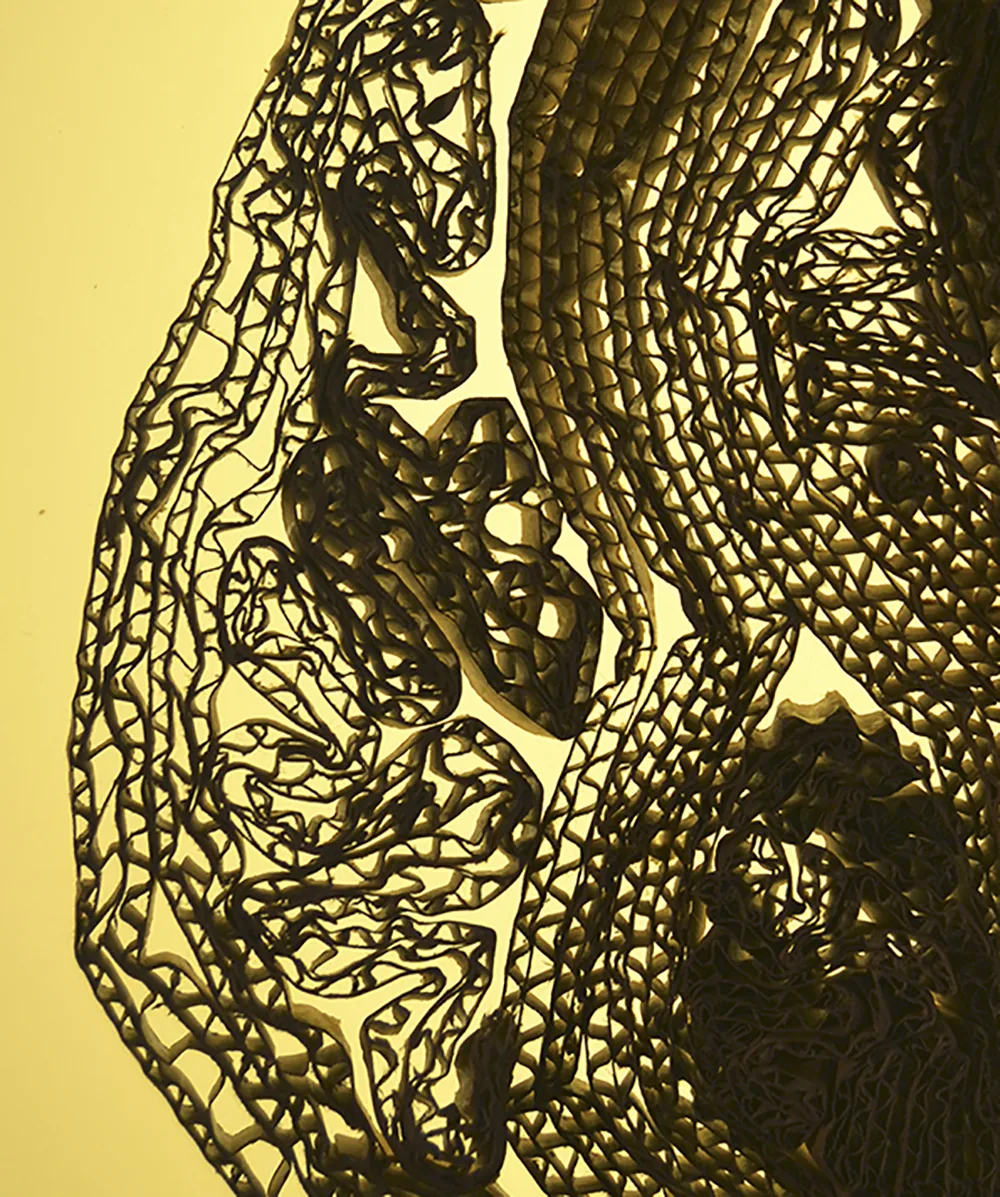 Dentelle de carton dorée sur fond jaune