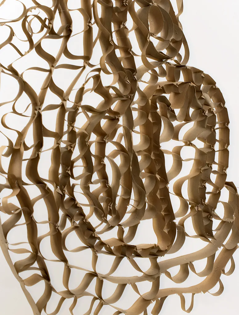 Dentelle de carton en volutes, vue de près