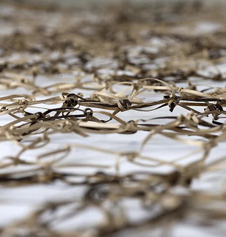 DMA 2017 - TextileDentelles de carton : le carton ondulé réinventé en dentelle.