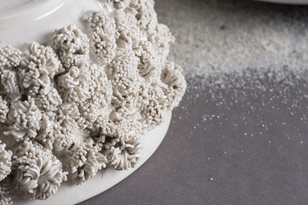 Détail : relief corallien en céramique blanche