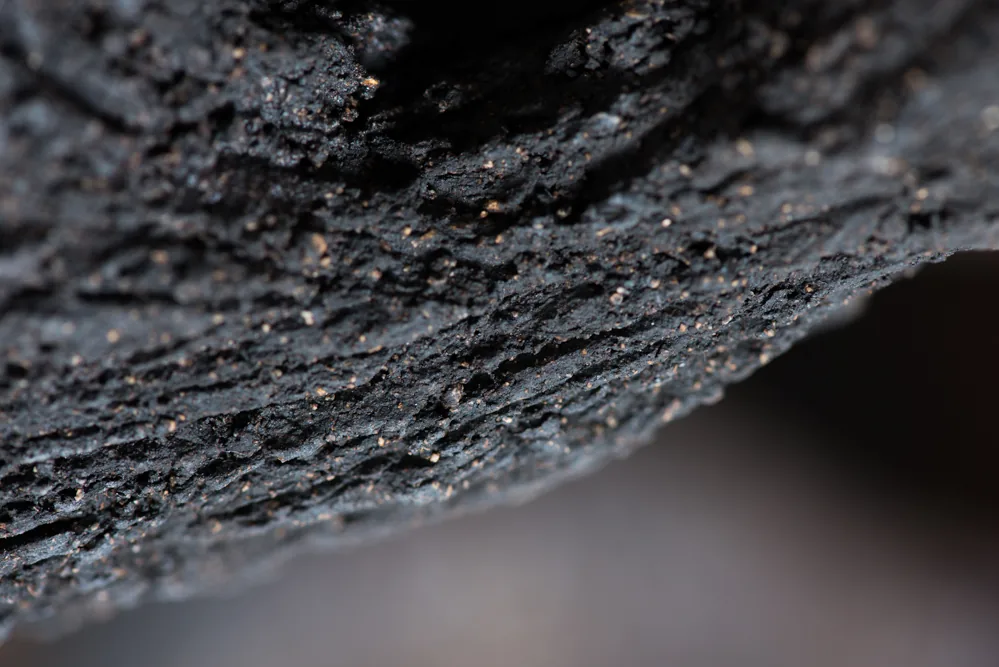 Détail : surface noire rugueuse évoquant le bois brûlé