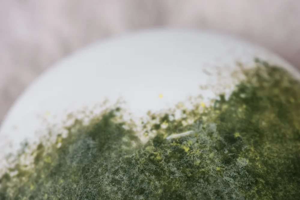 Détail : émail vert moussu sur porcelaine blanche