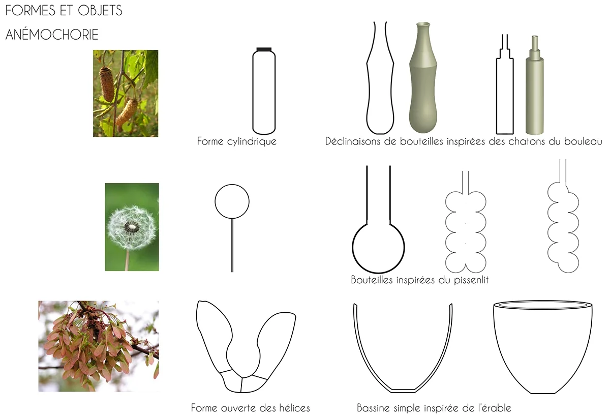 Planche de recherche : formes et objets inspirés de l’anémochorie