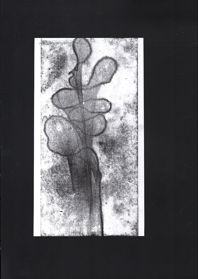 Monotype - impression