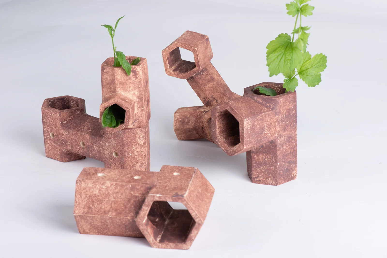 Assemblage de tuyaux en céramique plantés de végétaux