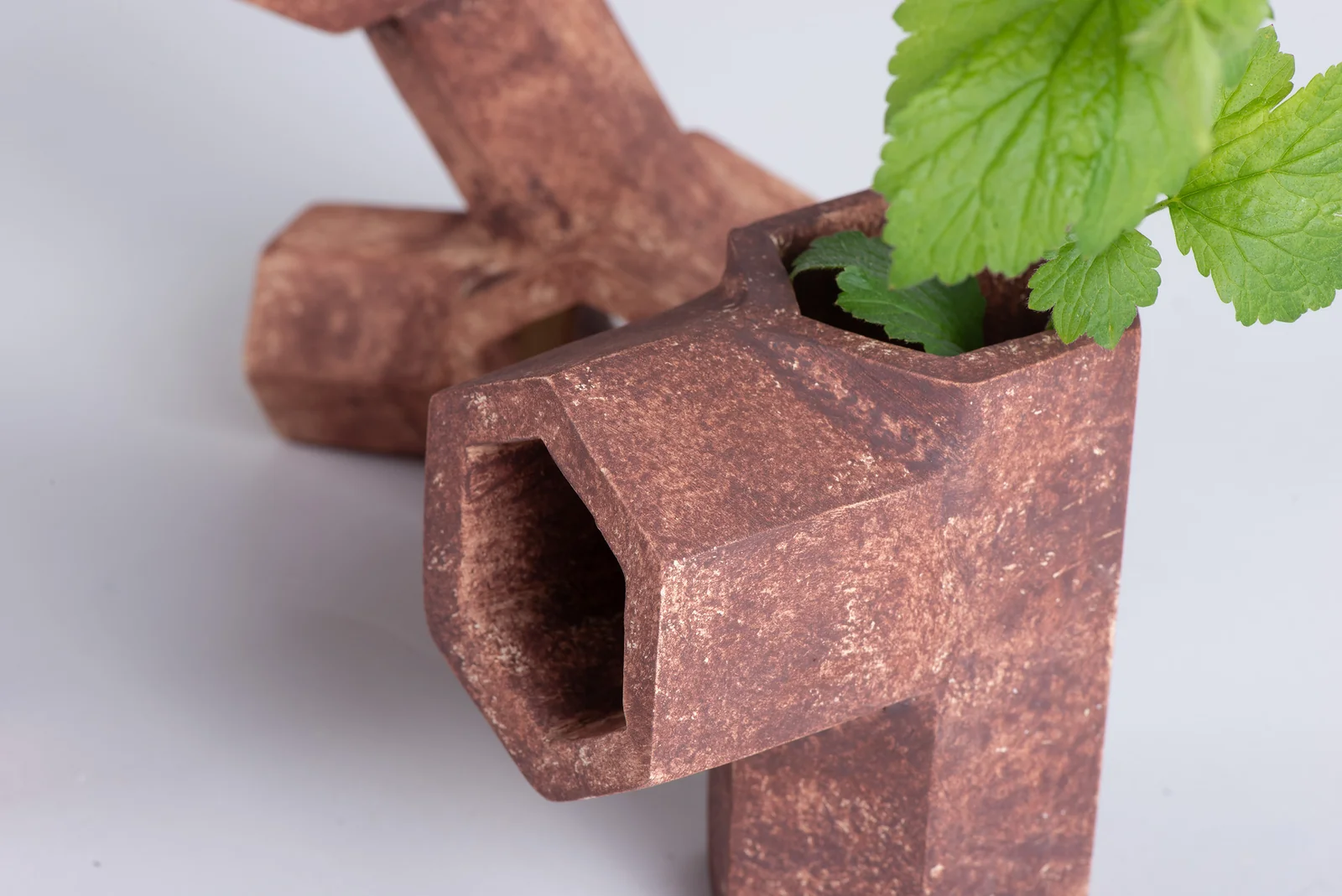 Gros plan sur un raccord hexagonal d’où sort une plante