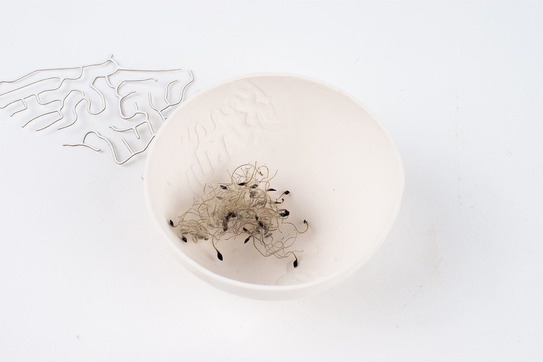 Gravure porcelaine Gravure porcelaine