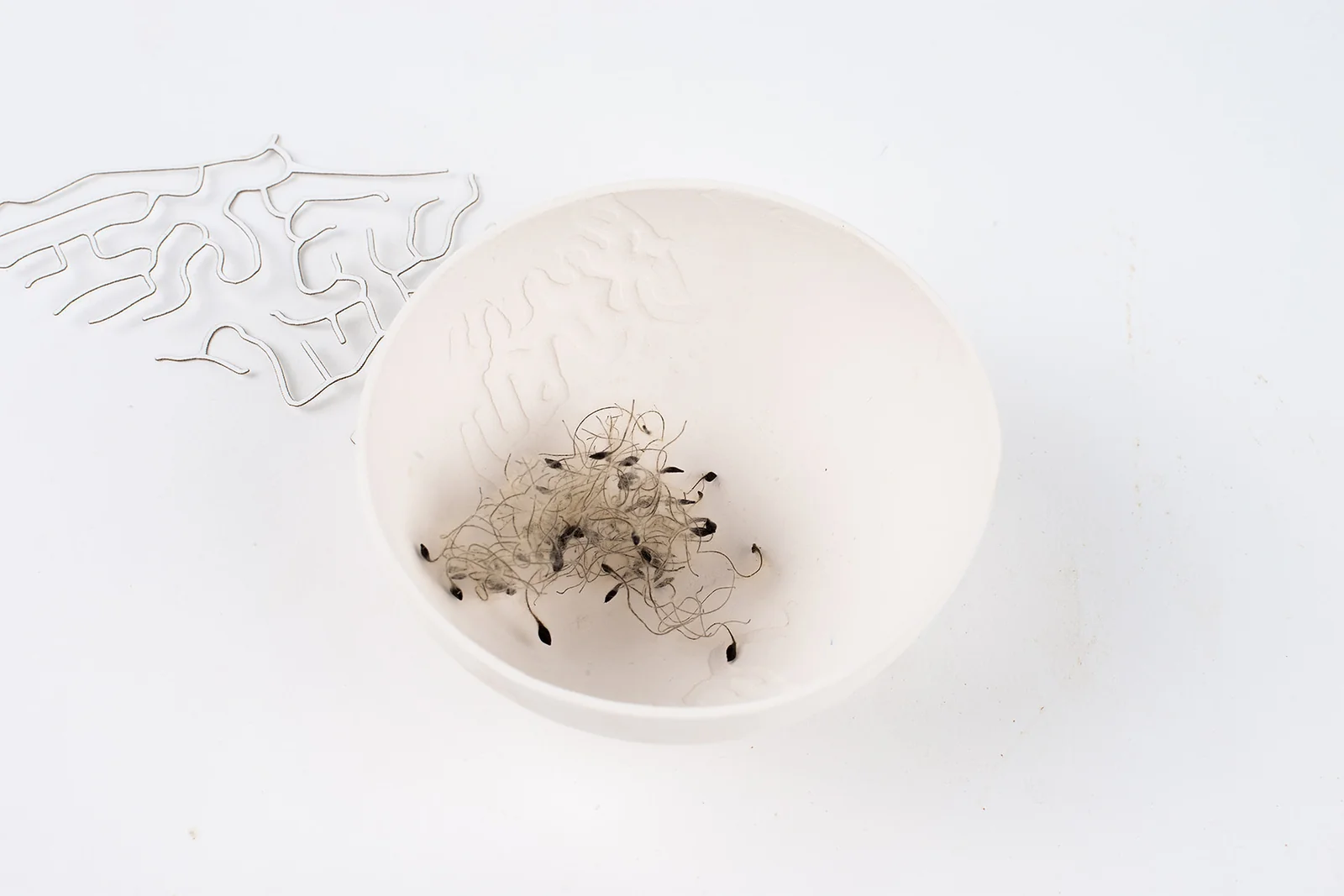 Bol en porcelaine gravée, recherche de texture