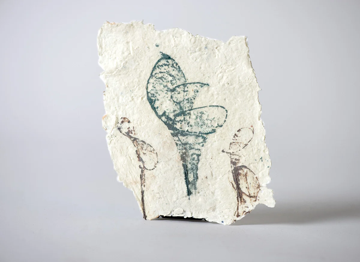 Détail d’une impression sur papier porcelaine
