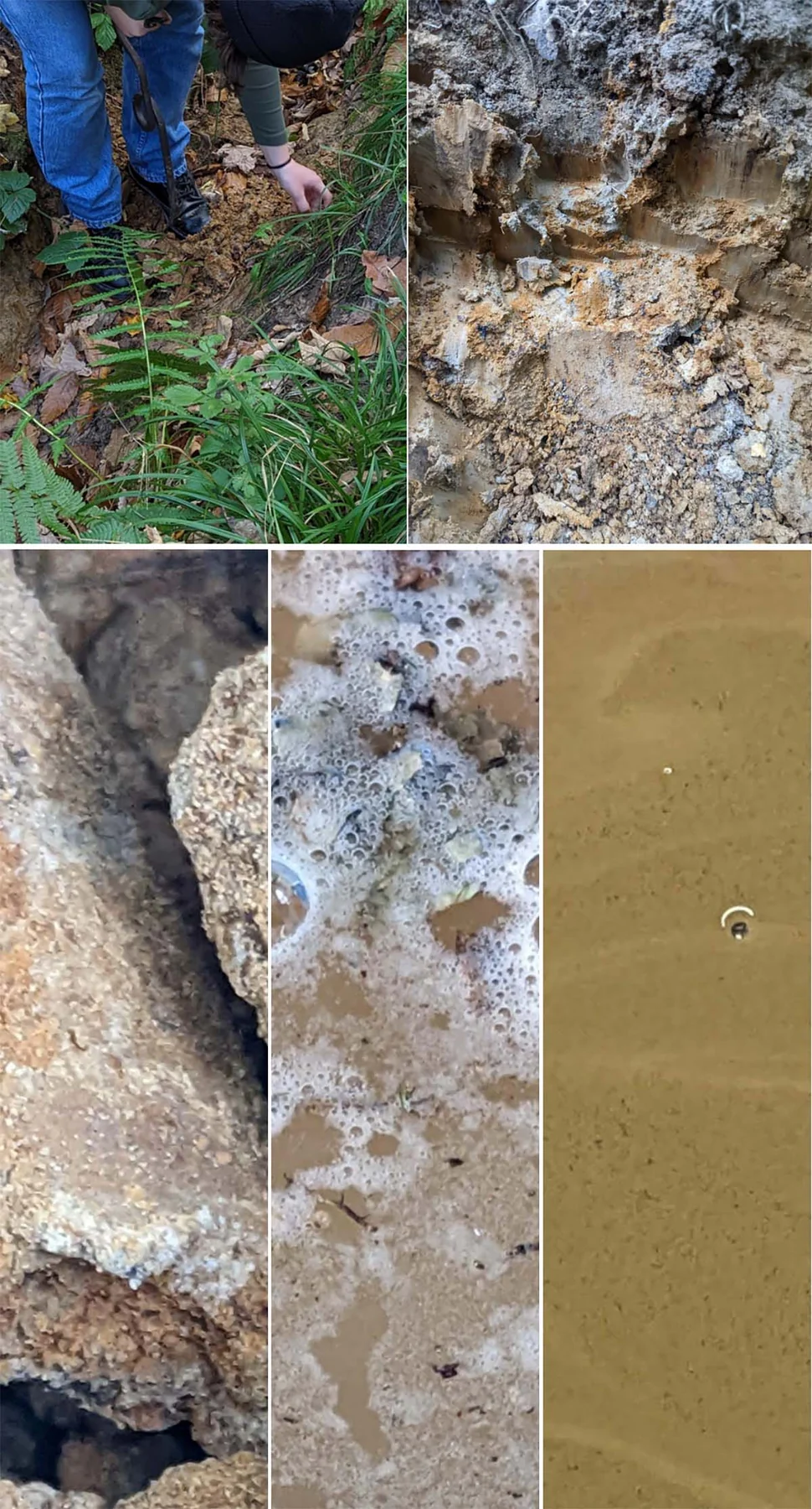 Terres et roches récoltées en forêt