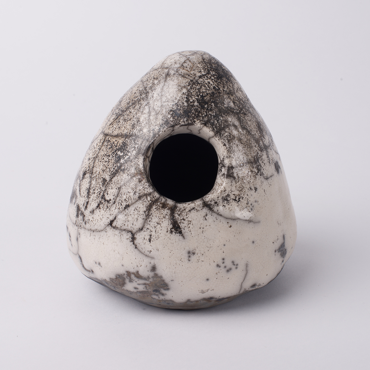 ornithologis 10