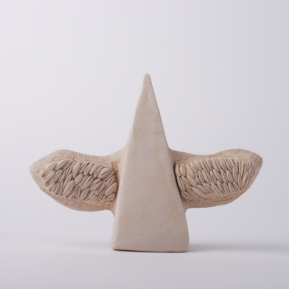 ornithologis 4