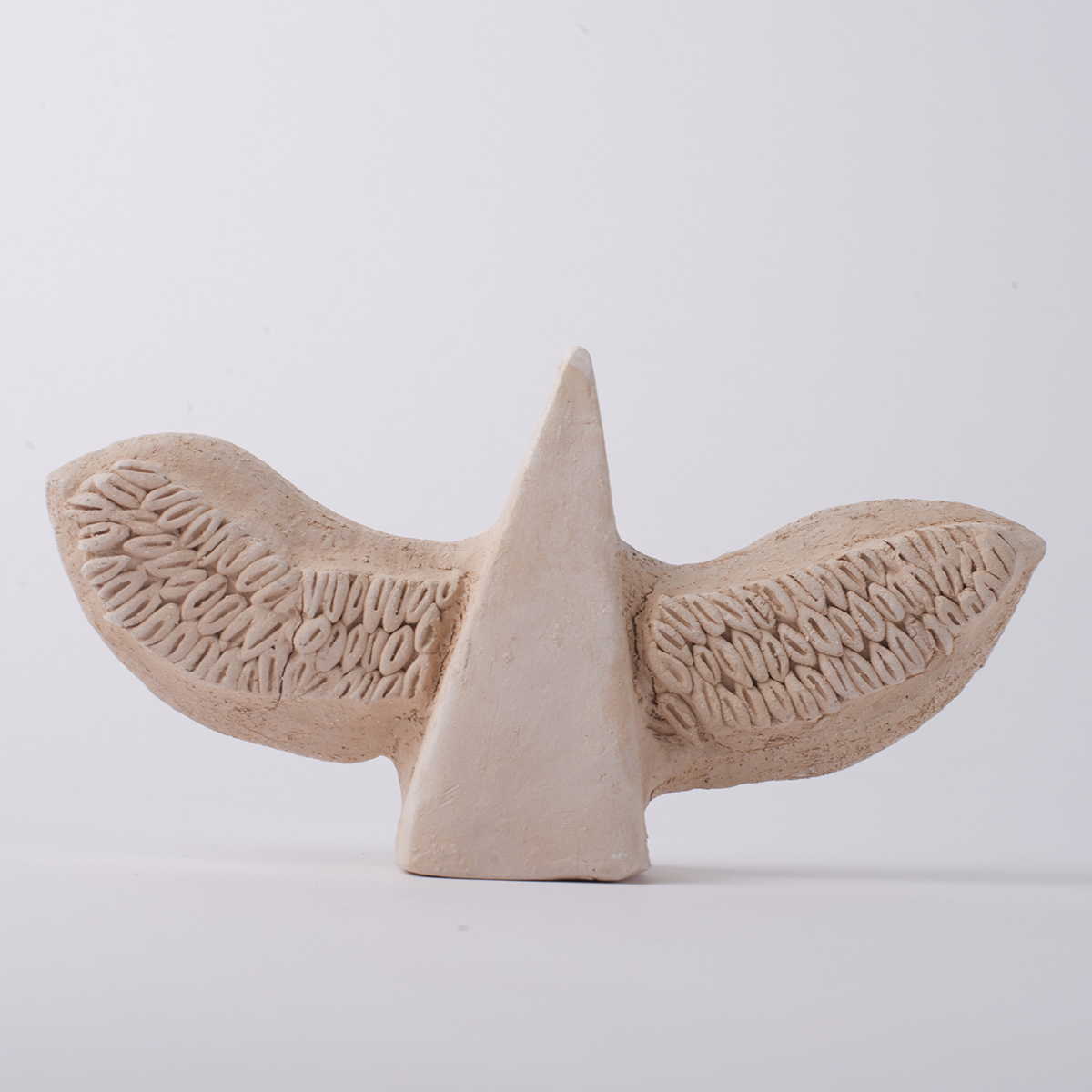 ornithologis 5