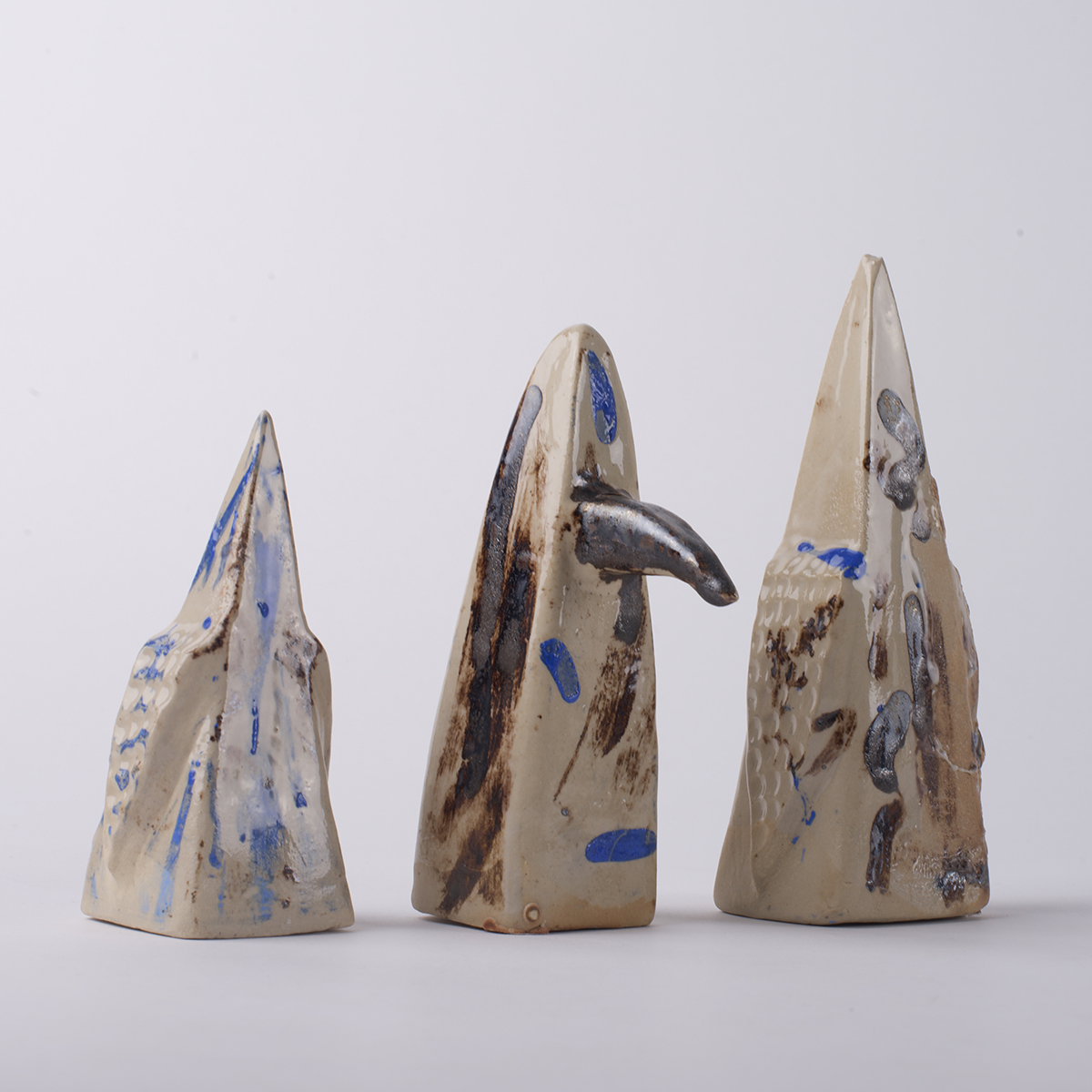 ornithologis 6