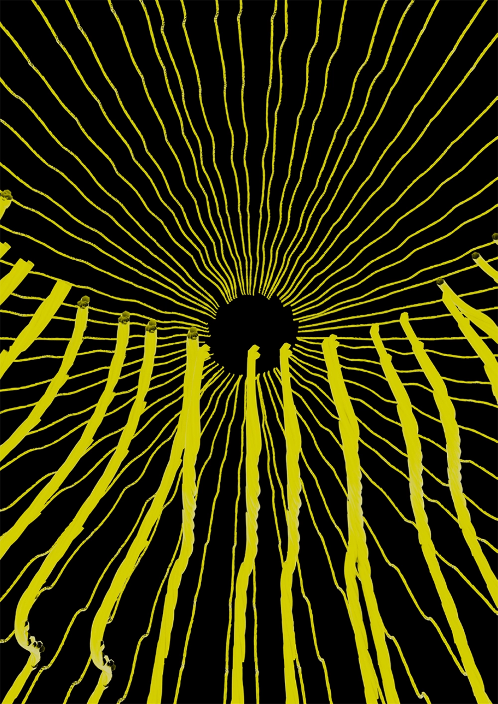 Recherches et process en volume céramique et textile - DNMADe 2026